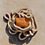 Neobain Torsade Marine case, small model, View: Worn, worn, view 3 of 3