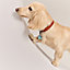 O-Dodo dog charm, View: Worn, worn, view 1 of 3