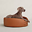 Patapouf dog bed, large model, View: Worn, worn, view 1 of 3