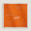 Petit Duc double face scarf 90, View: Back, back, view 4 of 5
