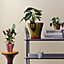 Pleated plant pot cover 16&nbsp;cm, View: Worn, worn, view 3 of 4