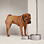 Punch dog bowl, large model, View: Worn, worn, view 2 of 4