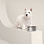 Punch dog bowl, small model, View: Worn, worn, view 1 of 3