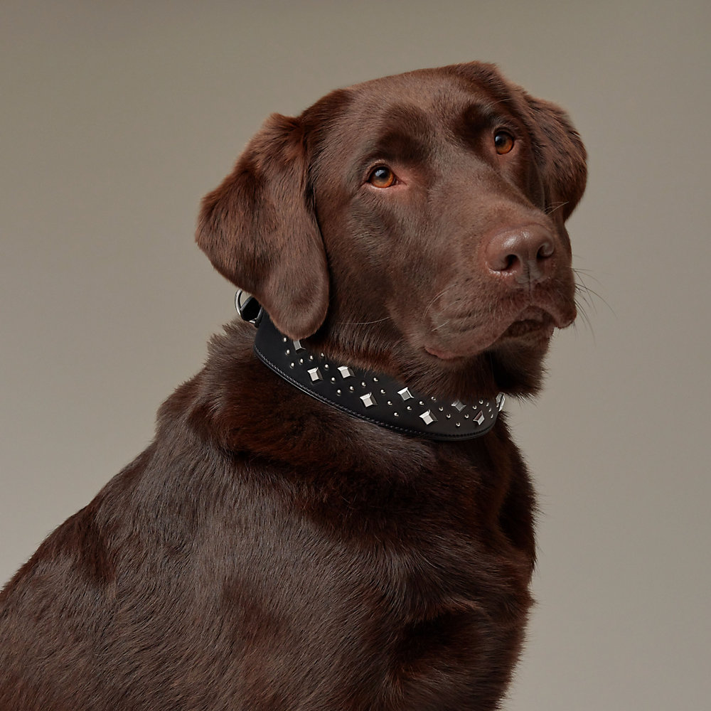 Hermes Etriviere Dog Collar Large Model New