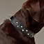 Punch dog collar, View: Worn, worn, view 4 of 5