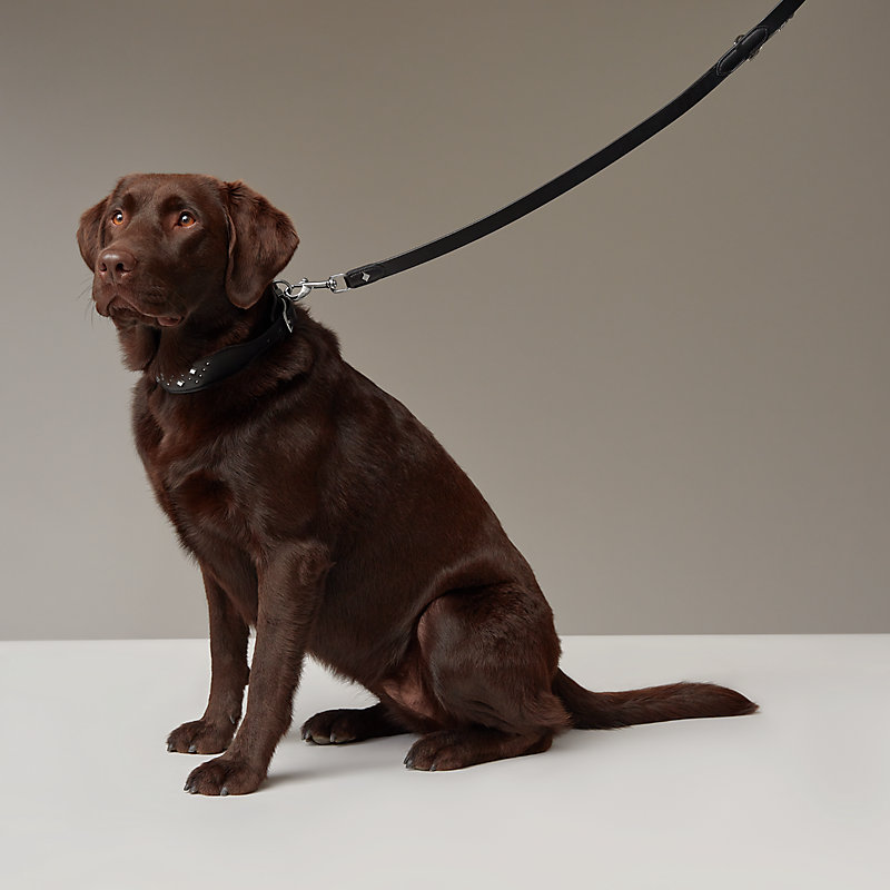 Dog leash M/L - Burberry - Leather - Briar Brown