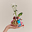 Reversible silk coin purse PM, View: Worn, worn, view 1 of 4
