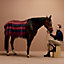 Rocabar blanket, View: Worn, worn, view 2 of 4