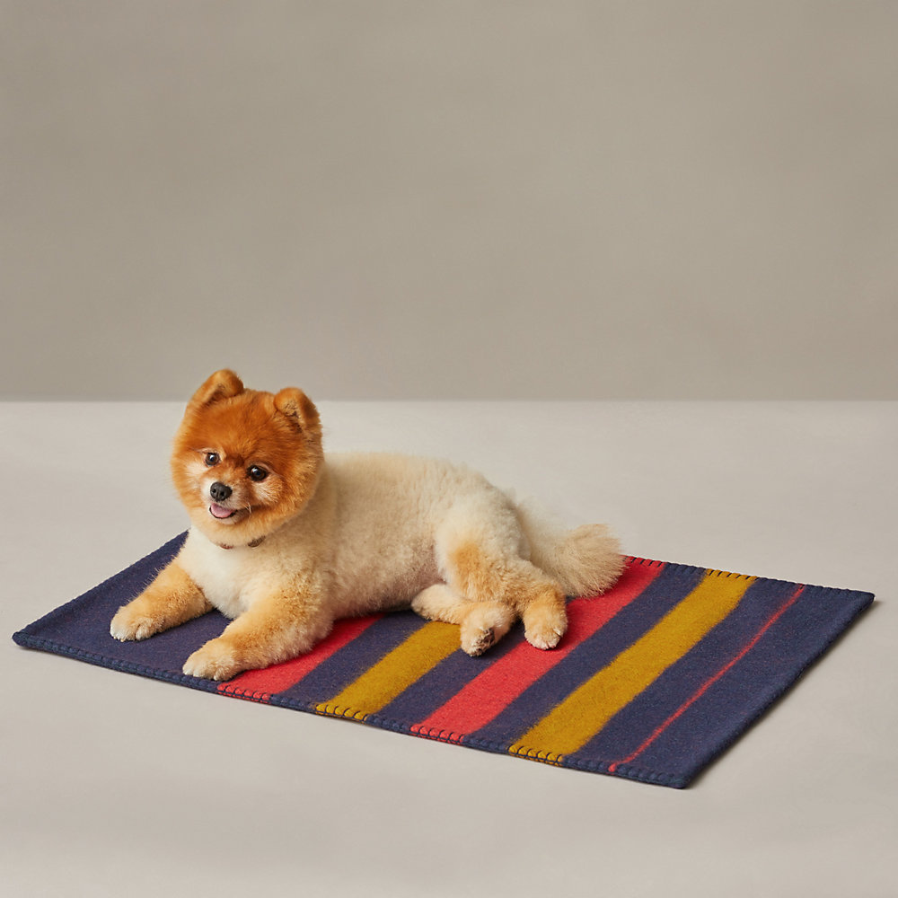 hermes dog blanket