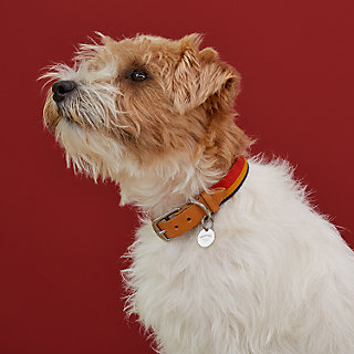 hermes dog accessories