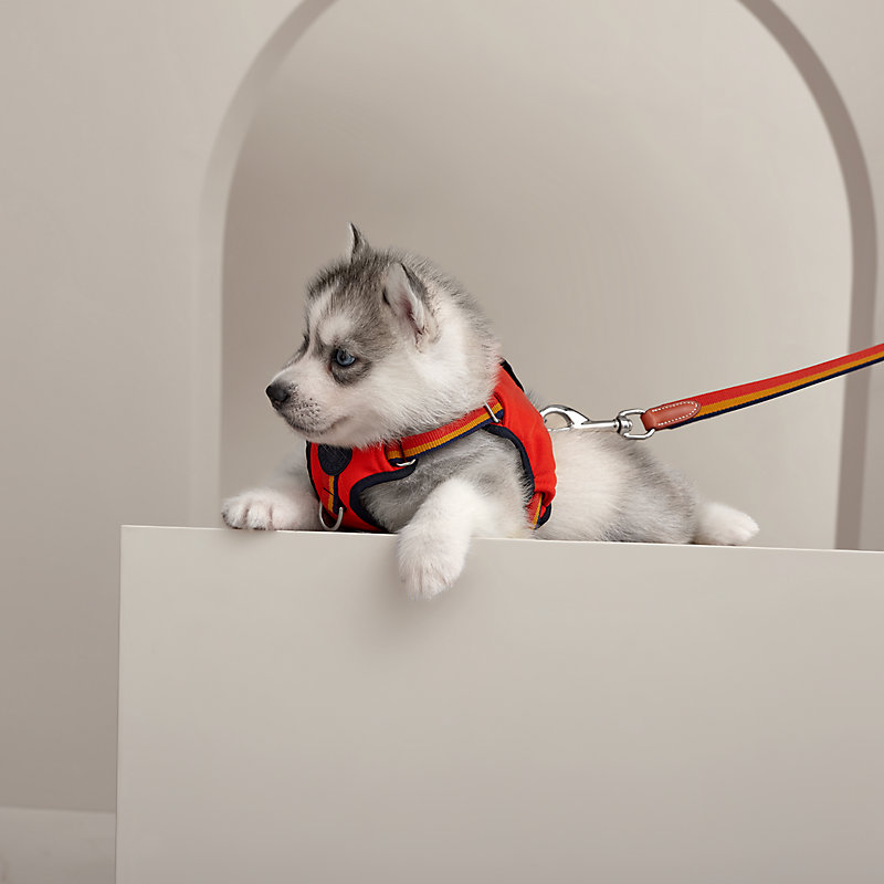 Rocabar slim dog leash | Hermès USA