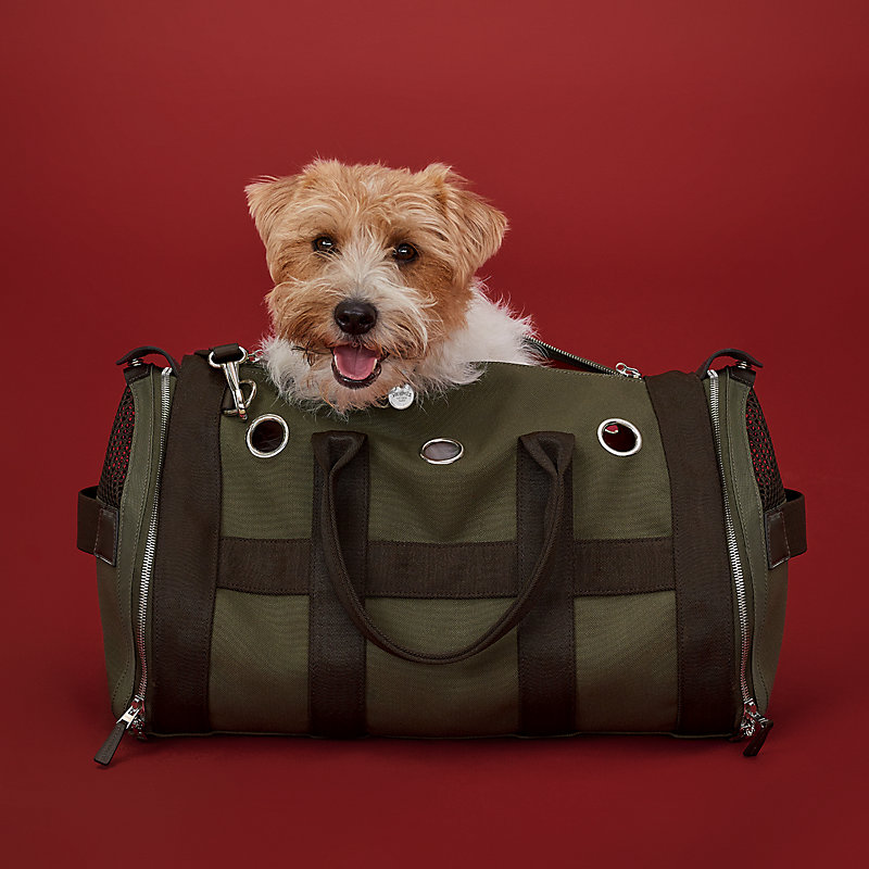 Transport pour chien et accessoires