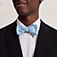 Terre d'H bow tie, View: Worn, worn, view 2 of 2