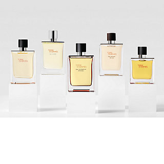 terre-d-hermes-eau-de-parfum-