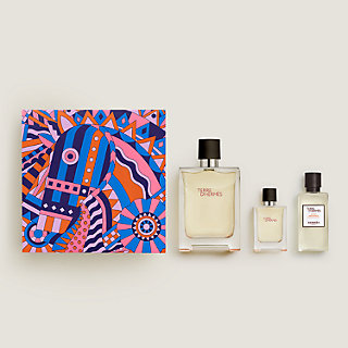 Amazon.com : Terre D' Hermes Eau De Toilette Spray for Men