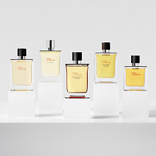 Terre d'Hermès Eau Givrée Eau de Parfum - HERM&