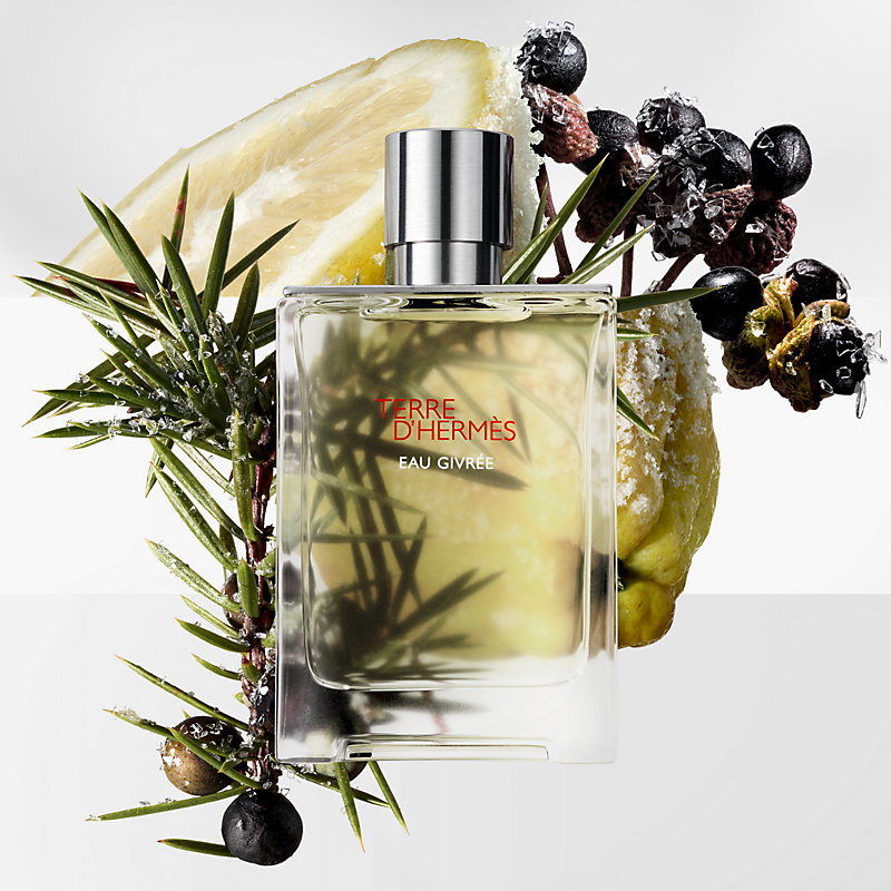 Terre d'Hermès Eau Givrée Recarga de Eau de parfum