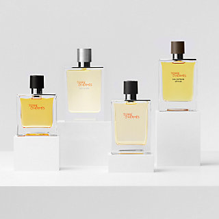 hermes vetiver