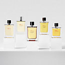 View: Worn, Terre d'Hermes Parfum