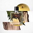 View: Worn, Terre d'Hermes Parfum