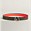 Tete de Cheval belt buckle & Reversible leather strap 38&nbsp;mm, View: , view 1 of 2
