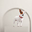View: Worn, Tresse dog collar