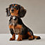 Tresse dog collar, View: Worn, worn, view 1 of 3