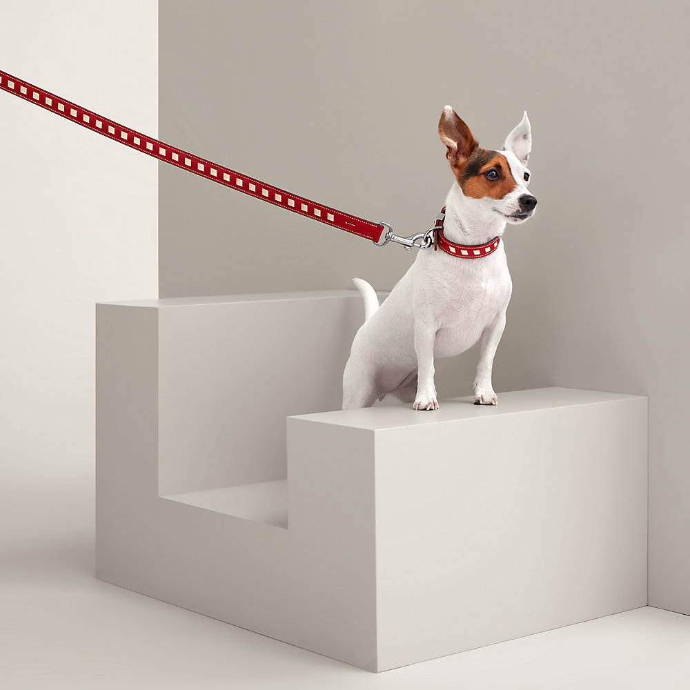 Shop HERMES Tresse Dog Collar by MiuCode