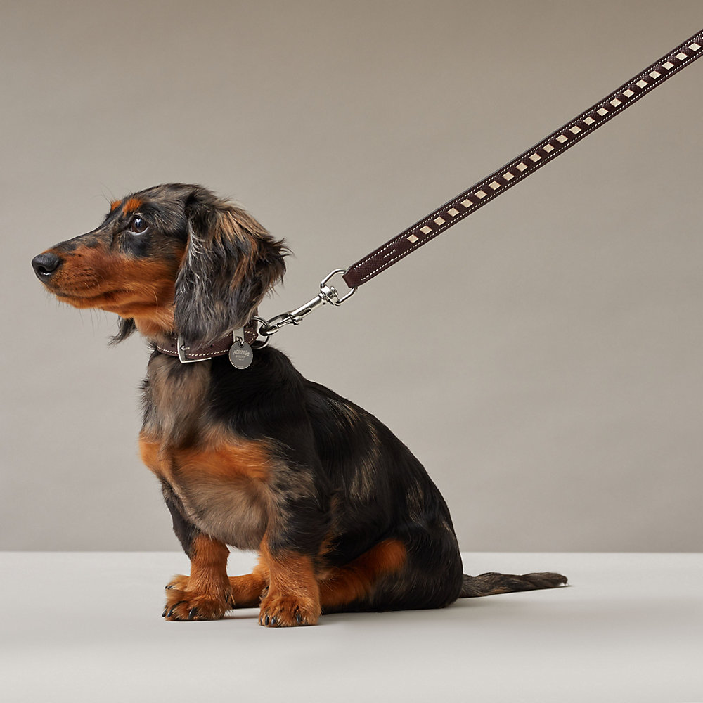 Tressee slim dog leash Hermès UK