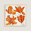 Tulipomanie Detail scarf 45, View: Flat, flat, view 1 of 4