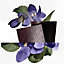 Vista: vista frontale, Violette Volynka Eau de Toilette
