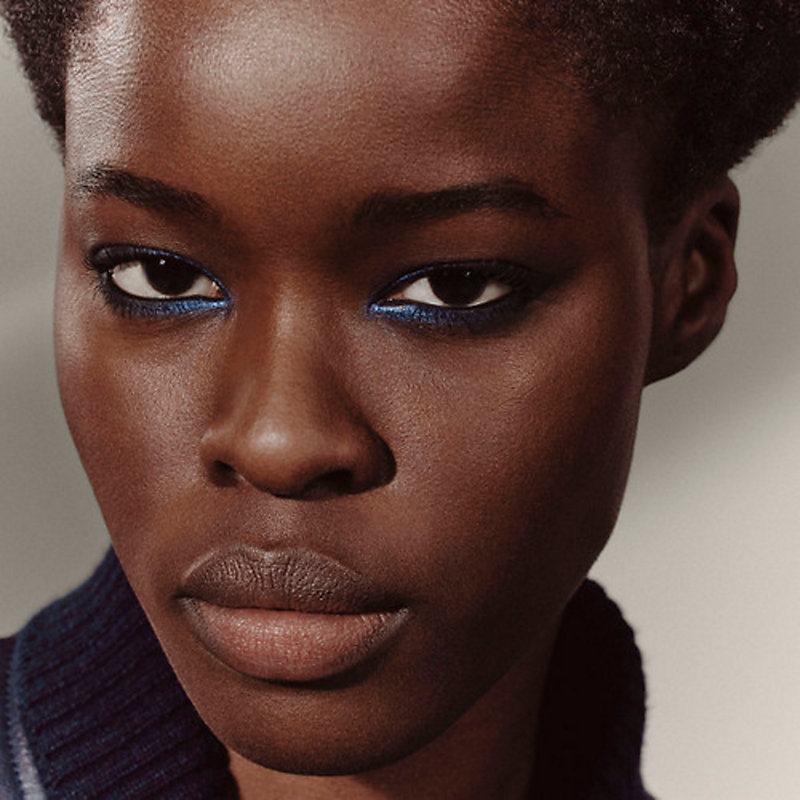 アイシャドウ パレット クワテュール 04 | Hermès - エルメス