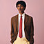 シルクツイルタイ 《Hシュヴァル》, イメージ: 着用例, worn, ビュー2の2