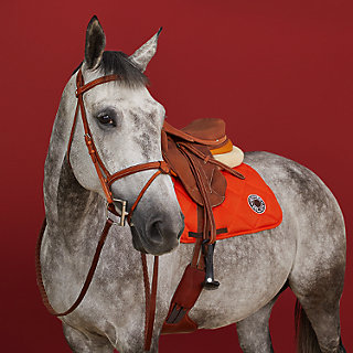 フランス鼻革 エルゴノミック頭絡 | Hermès - エルメス-公式サイト