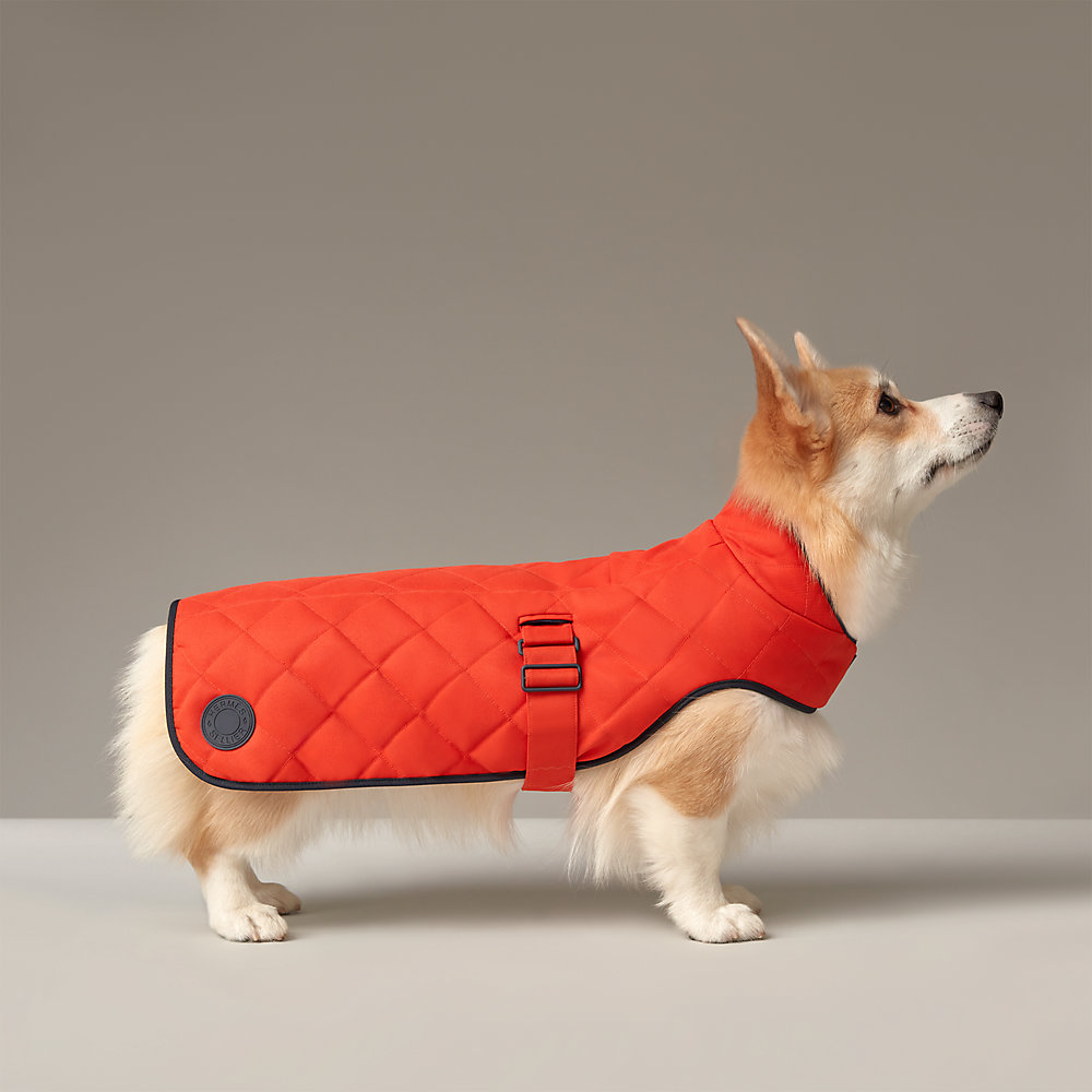 最新入荷 M&L 犬用コート | エルメス-公式サイト - Hermès 食器