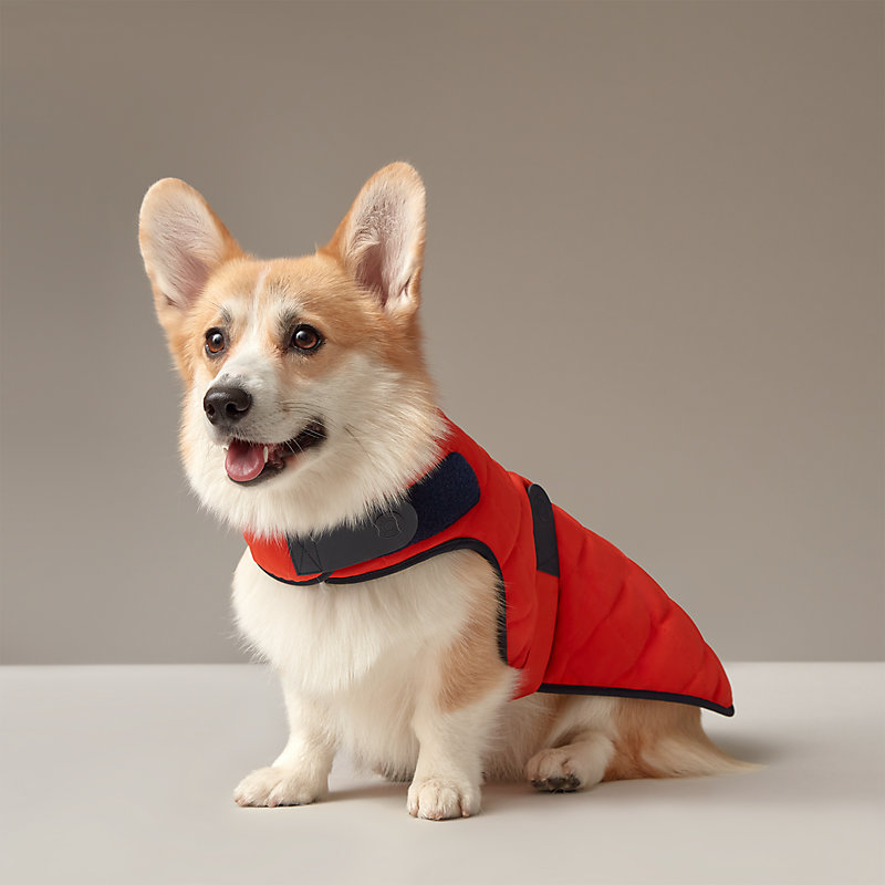 犬用コート M&L | Hermès - エルメス-公式サイト 犬用コート M&L | Hermès - エルメス-公式サイト