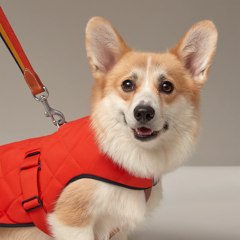 犬用コート M＆L | Hermès - エルメス-公式サイト