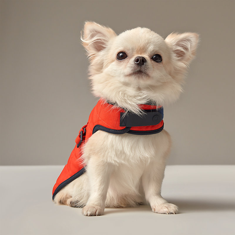 犬用コート XS&S | Hermès - エルメス-公式サイト 犬用コート XS&S | Hermès - エルメス-公式サイト