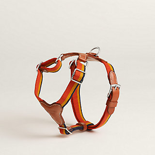 ⭐️エルメス⭐️首輪⭐️犬用品⭐️ロカバール⭐️XSサイズ 犬用首輪 《ロカバールIII》 | Hermès - エルメス-公式サイト