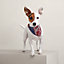 犬用バンダナ 《エプロン・ドール》 S, イメージ: 着用例, worn, ビュー3の4