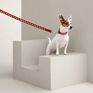 犬用リード 《トレス》 | Hermès - エルメス-公式サイト