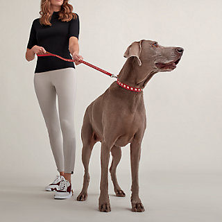 エルメス犬イラストのトランプセット 楽天市場】【未使用品】HERMES エルメス トランプ ミニトランプ