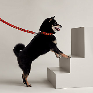 犬用リード 《メドール》 | Hermès - エルメス-公式サイト