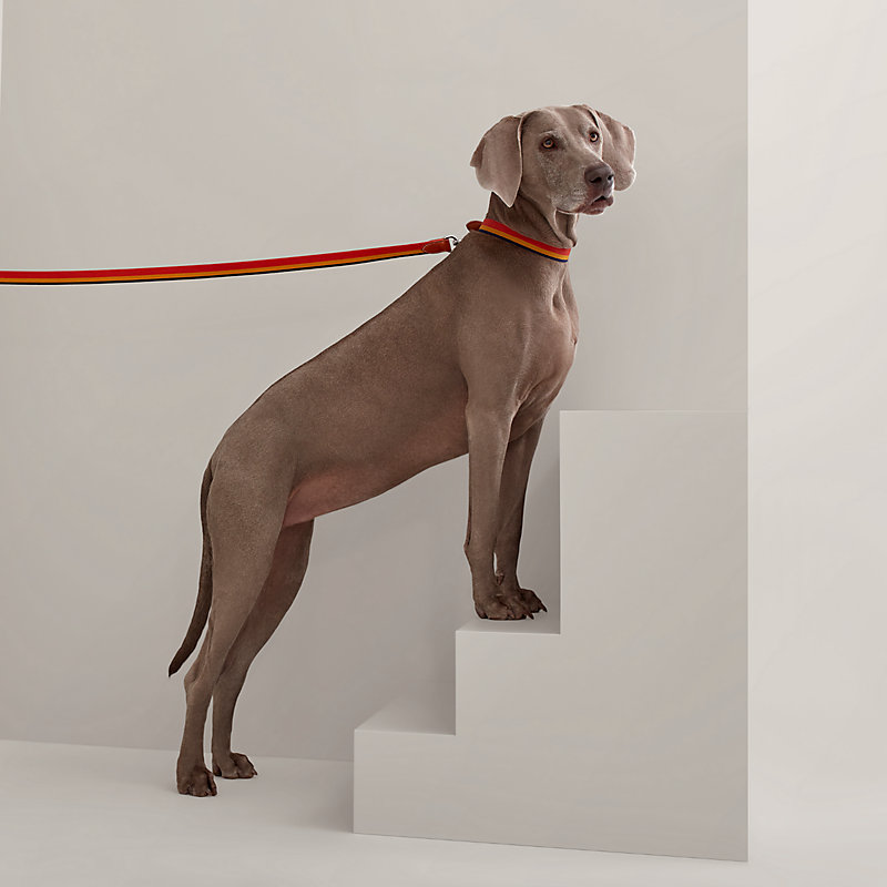犬用リード 《ロカバール》 | Hermès - エルメス-公式サイト