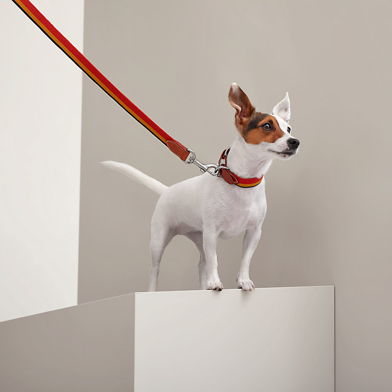 犬用リード 《ロカバール》 | Hermès - エルメス-公式サイト