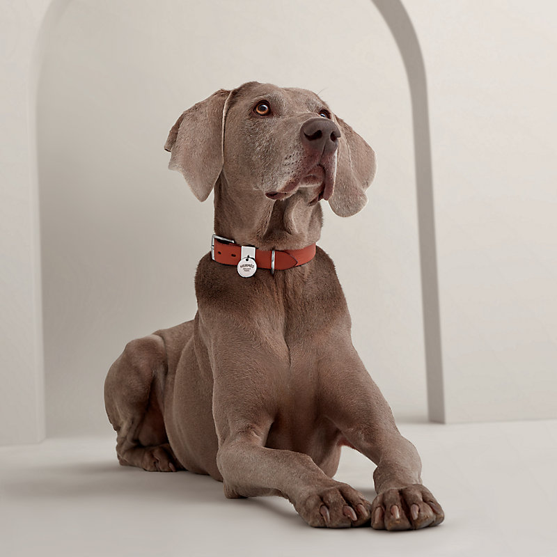 犬用首輪 《エトリヴィエール》 | Hermès - エルメス-公式サイト