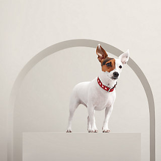 犬用首輪 《トレス》 | Hermès - エルメス-公式サイト