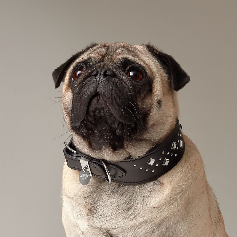 犬用首輪 《パンチ》 | Hermès - エルメス-公式サイト