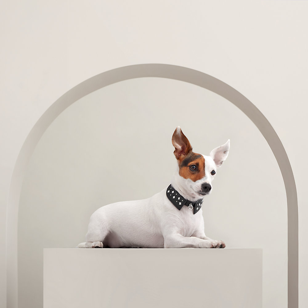 犬用首輪 《ブラック・タイ》 XS-S | Hermès - エルメス-公式サイト
