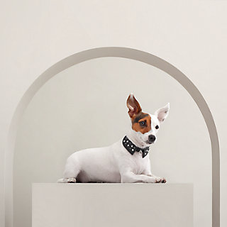 犬用首輪-《ブラック・タイ》-xs